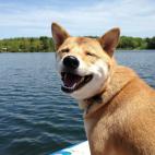 5c8a52b32400006f054bb738