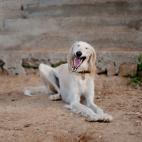 5c8a52b53b000054066bd75f