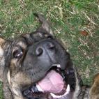 5c8a52b7250000e203c8e668