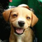 5c8a52b83b000070066bd765