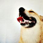 5c8a52ba20000043046f03cf