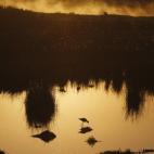 Los pajaros vadean por los humedales cerca de Ciudad del Cabo (Sudáfrica) al comienzo de un día despejado de invierno.