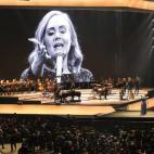 5c8b5cce230000d504248a34