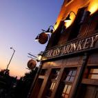 Si hay una ciudad donde el skyline quita el hipo, esa es Nueva York. Aquí la oferta de este tipo de locales es abundante, aunque en la mayoría de los casos prohibitivo. The Brass Monkey es el lugar ideal para degustar una Guiness mientras nos ...