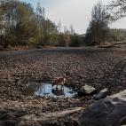 5c8acd802300003000e7339a