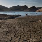 5c8acd812300003000e7339e