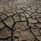 5c8acd87240000f404a3b748