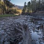 5c8acd892400006c05a3b750