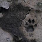 5c8acd892300003000e733aa