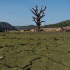 5c8acd8c240000f7054c7c13