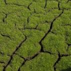 5c8acd8d240000f7054c7c15