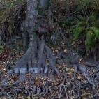 5c8acd8f3b000002076c99f9