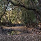 5c8acd90360000e01c6c19b4