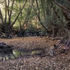 5c8acd902400006c05a3b764