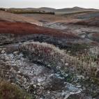 5c8acd91230000d50423bcb4