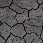 5c8acd943b000002076c9a00