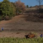 5c8acd952000009e046fc73f