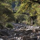 5c8acd96250000bd0581c6e8