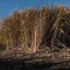 5c8acd9b2400006d054c7c35