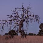 5c8acd9c2400006d054c7c37