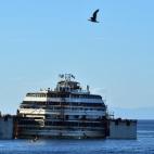 5c8b7c0a24000093024d9942