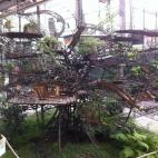 El Árbol de las Garzas medirá 35 metros de altura y 50 de diámetro y albergará cafés, jardines colgantes y paseos. Entre rama y rama, La Machine ha proyectado que dos garzas transporten pasajeros. Su prototipo aún no ha sido aprobado por e...