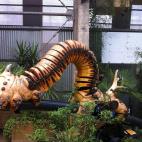 En el caso de esta oruga, puede verse el proceso completado tras el boceto anterior. Permite desplazar a una persona por el raíl.