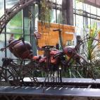 Esta hormiga es el prototipo de la anterior. La maqueta mueve patas y antenas pero no se desplaza de su sitio.