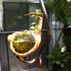 En la galería también hay extraños prototipos de plantas.