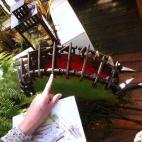 Entre plantas inofensivas hay algunas que no invitan a acercarse...