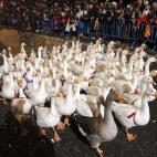 5c8ad6b924000093024c8c63