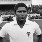 5c8b67952500000d04ca9556