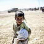 5c8b40582300005300e7e899