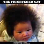 5c8a811a24000093024bedc7