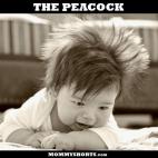 5c8a811d2000009e046f3a3e