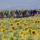 5c8b7994230000dd0424d41b