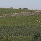 5c8b79952400006d054d935b