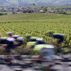 5c8b79963b000072066dad78