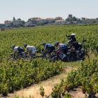 5c8b7996230000d50424d41f