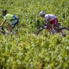 5c8b79962400006b054d935f