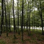 5c8b79973b000070066dad7e