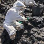 5c8aaab92500000704c96a32