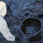 5c8aaabb24000093024c3878