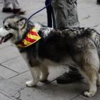 5c8af6ff230000dd0423faa8