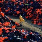 5c8b689a2300005400e81f3f