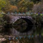 Puebla de Sanabria (Zamora)