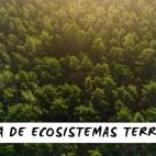 15. Vida de ecosistemas terrestres