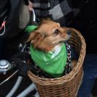 5c8a65d92400000a05a307ca