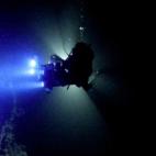 Cuatro equipos de investigadores de varios países bucearon entre los arrecifes de las Islas Salomón, en el Pacífico y en las Islas Caimán para encontrar a unas 180 especies. Pero debe haber muchas más aún por descubrir.