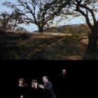 5c8aefb32400004205a3ec8e